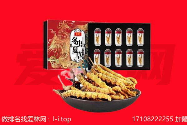 硚口区回收虫草.jpg